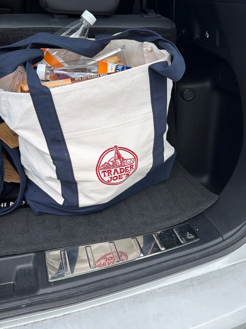 Trader Joe’s Canvas Tote Bag - Large